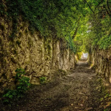 Tiny House Am Kaiserstuhl Tatil Evi Ihringen